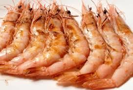 Grilled Tigger Prawns