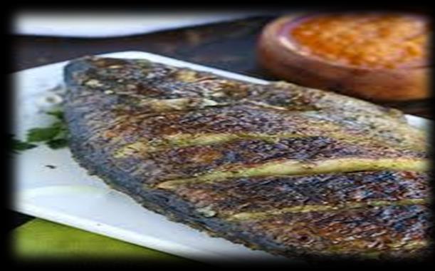 Grilled Line Fish of the Day